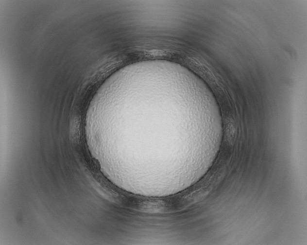 X0000110980410200907101414