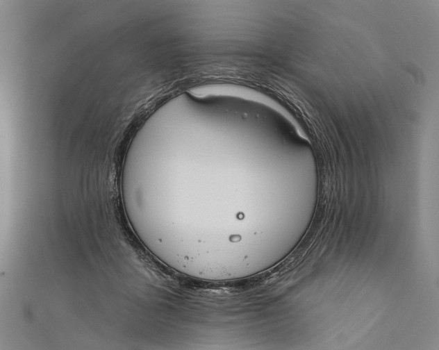 X0000110980411200907101414