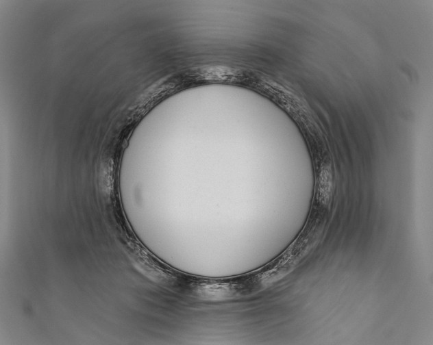 X0000110980413200907101414