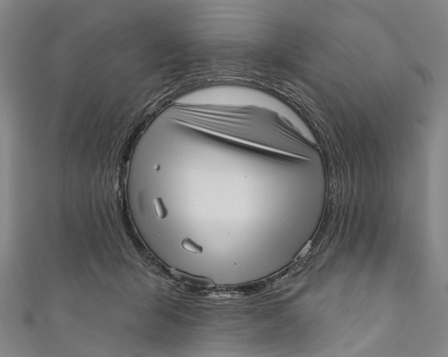 X0000110980415200907101414