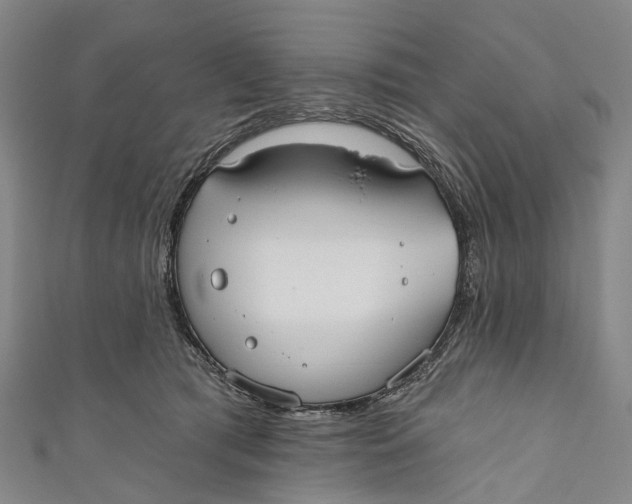 X0000110980417200907101414