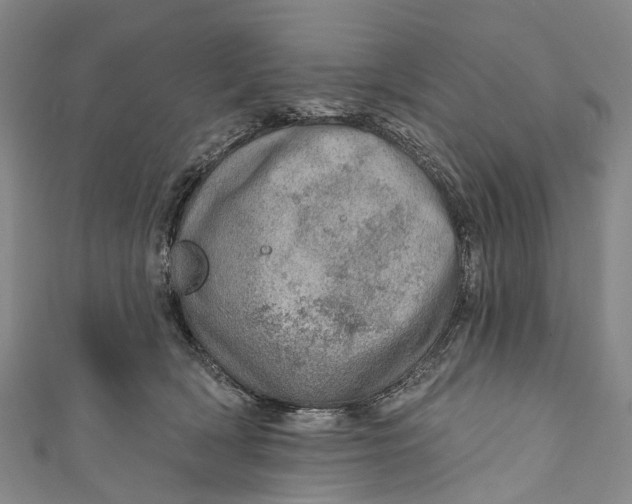 X0000110980418200907101414