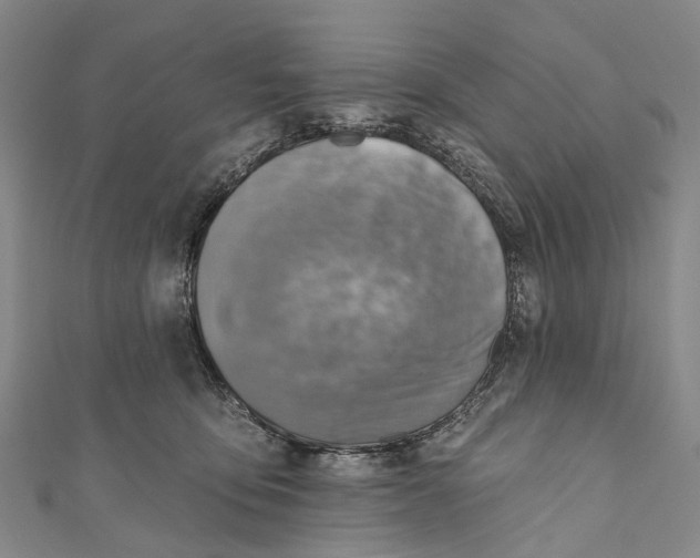 X0000110980419200907101414