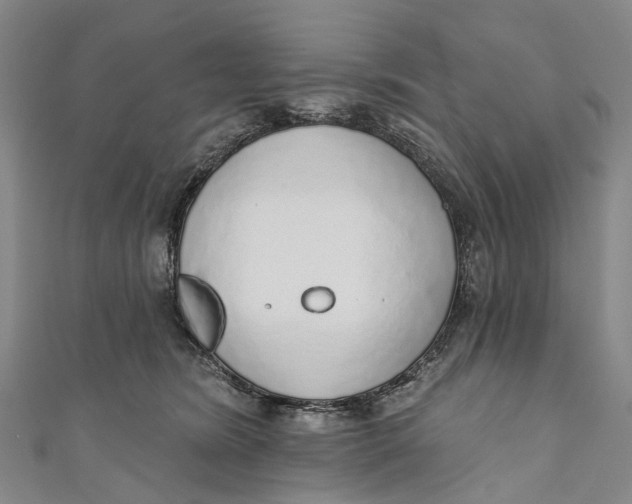 X0000110980420200907101414