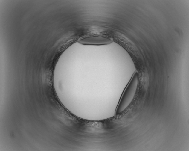 X0000110980421200907101414