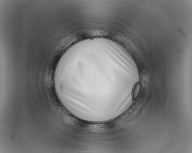 X0000110980422200907101414