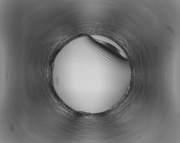 X0000110980423200907101414