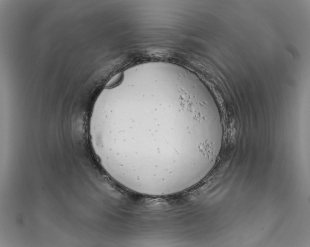 X0000110980424200907101414