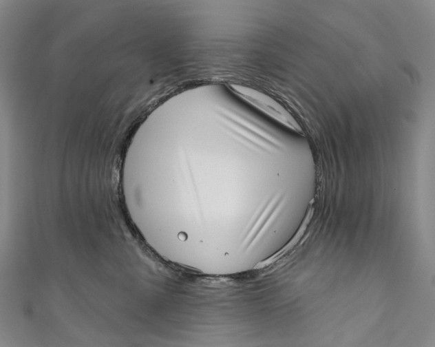 X0000110980427200907101414