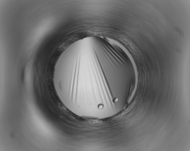 X0000110980429200907101414