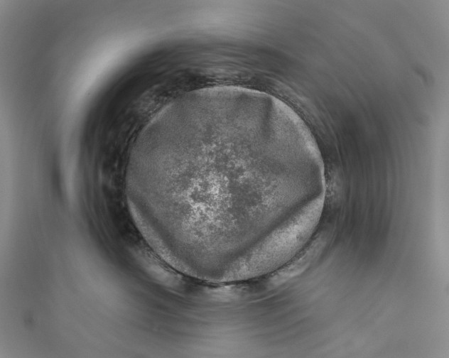 X0000110980430200907101414