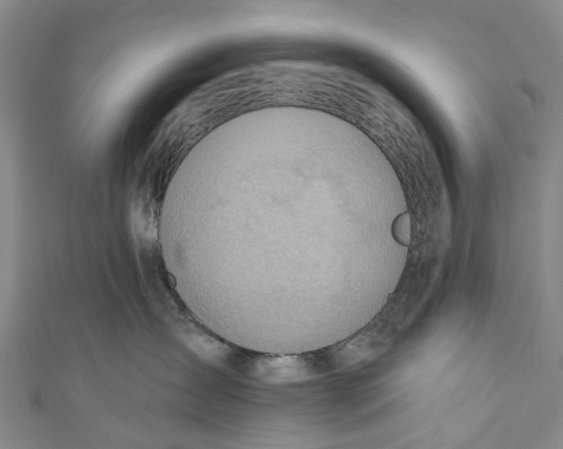 X0000110980431200907101414