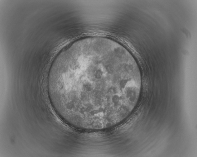 X0000110980433200907101413