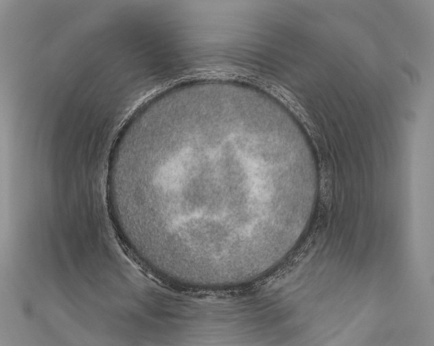 X0000110980434200907101413