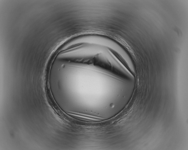 X0000110980436200907101413