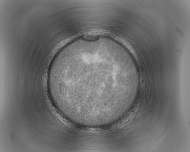 X0000110980437200907101413