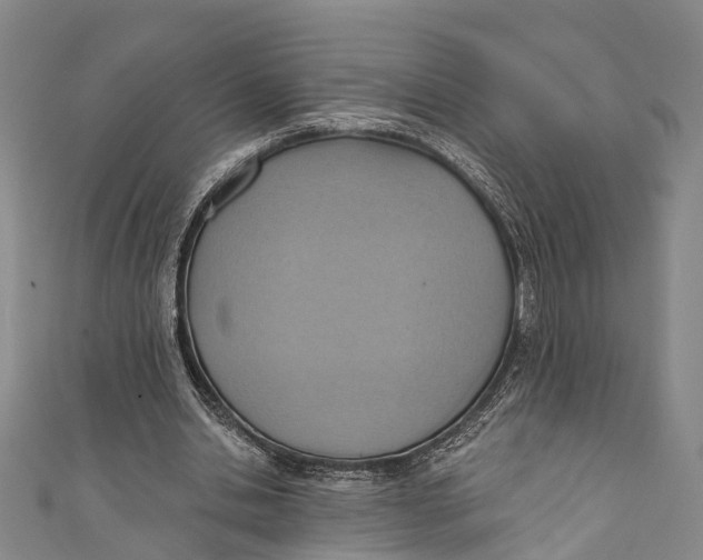 X0000110980438200907101413