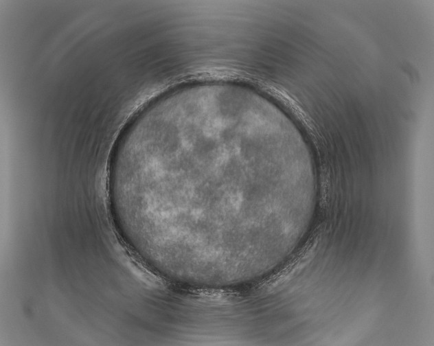 X0000110980439200907101413