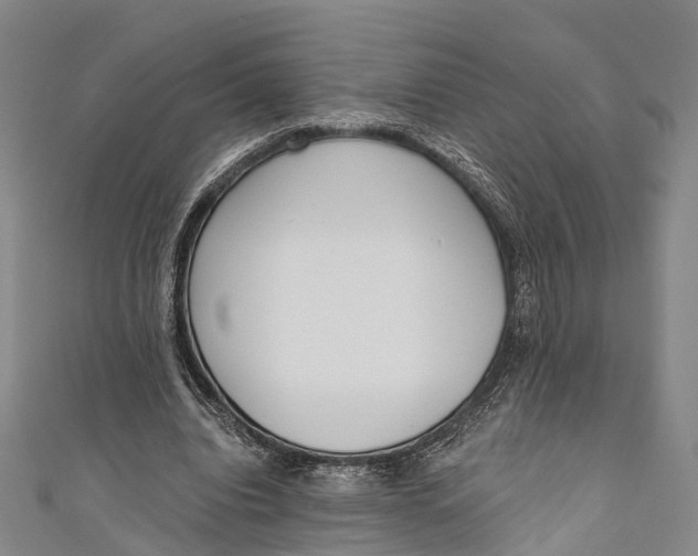 X0000110980440200907101413