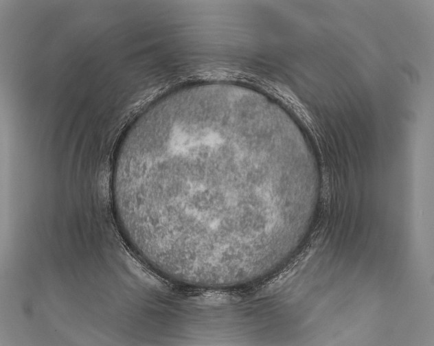 X0000110980441200907101413