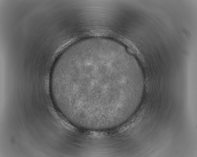 X0000110980442200907101413