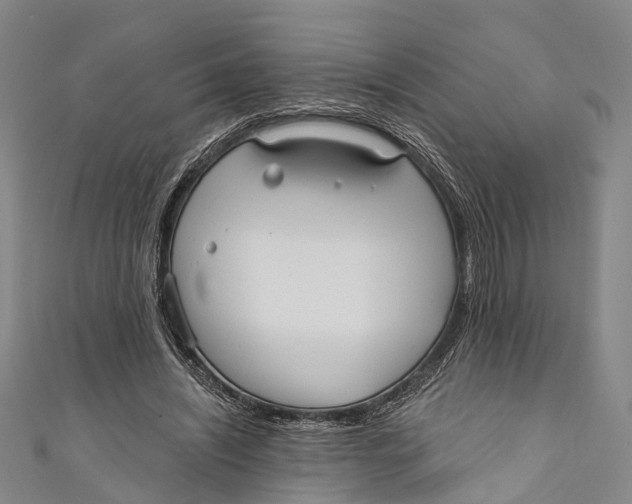 X0000110980444200907101413