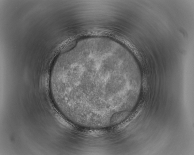 X0000110980445200907101413