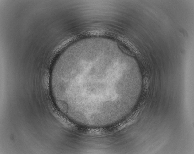 X0000110980446200907101413