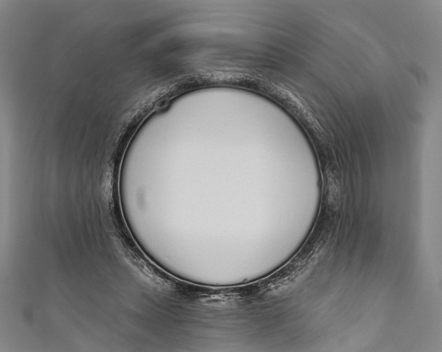 X0000110980447200907101413