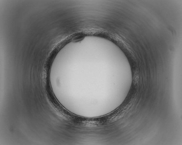 X0000110980448200907101413