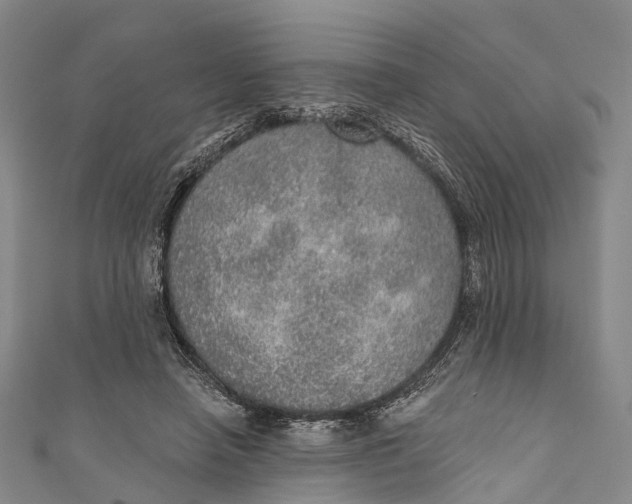 X0000110980450200907101413