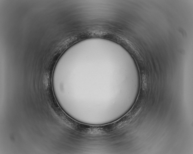 X0000110980451200907101413