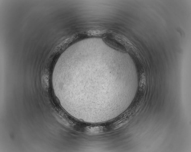 X0000110980452200907101413