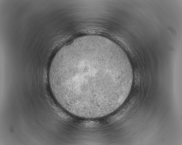 X0000110980453200907101413