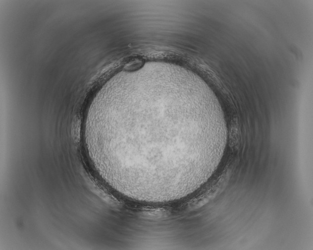 X0000110980454200907101413