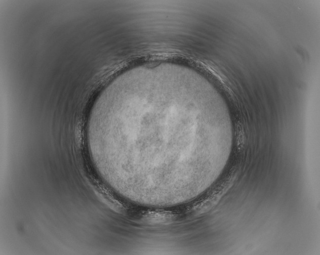 X0000110980455200907101413