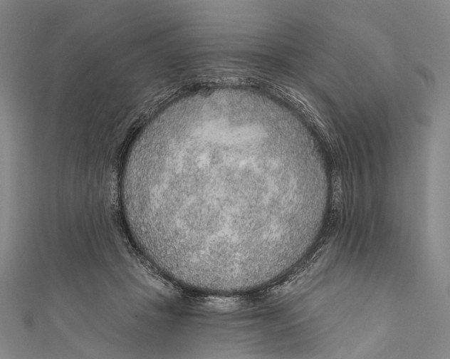 X0000110980457200907101414