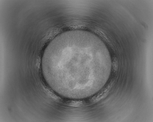 X0000110980458200907101414