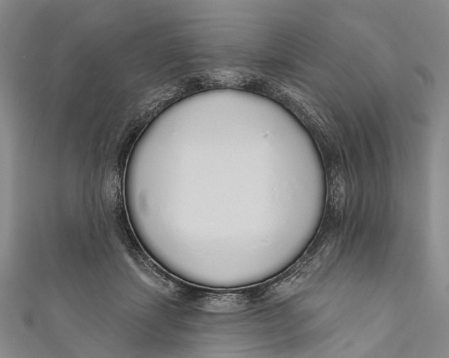 X0000110980459200907101414