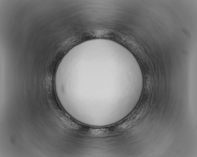 X0000110980461200907101414