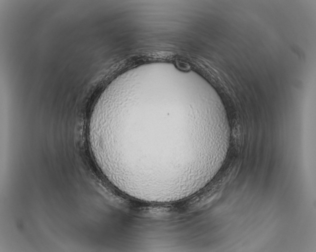 X0000110980462200907101414