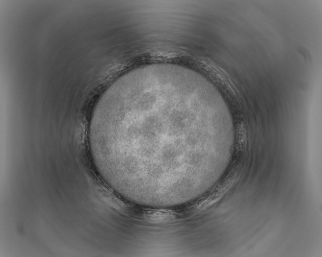 X0000110980463200907101414