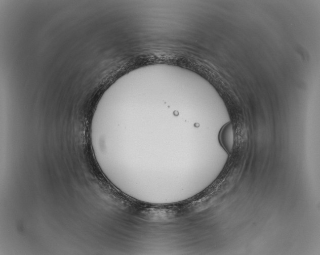 X0000110980464200907101414