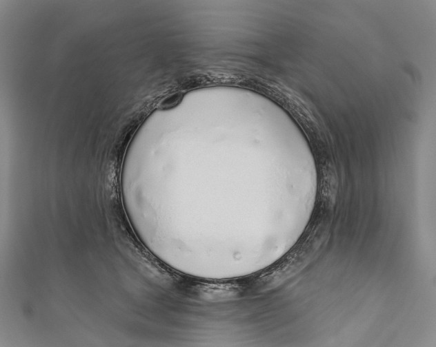 X0000110980465200907101414