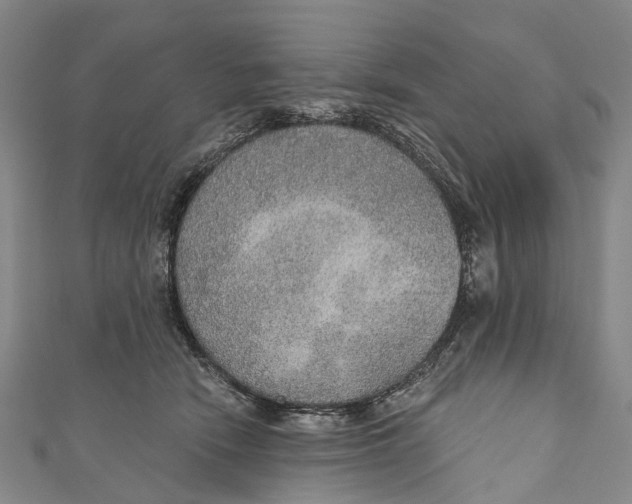 X0000110980466200907101414