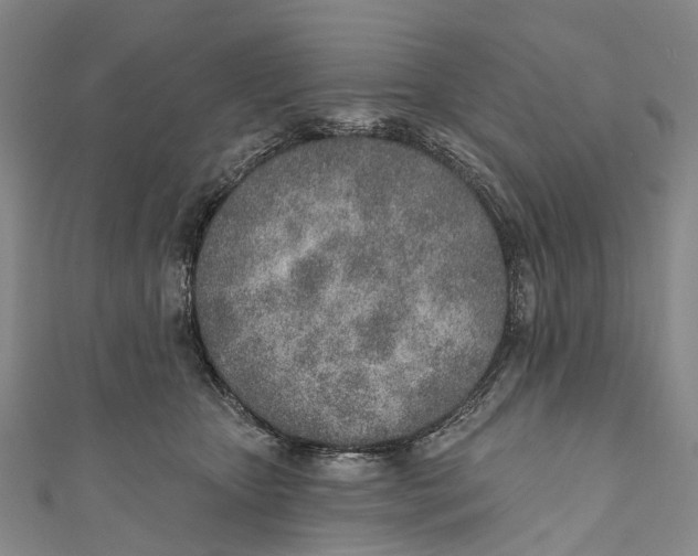 X0000110980467200907101414