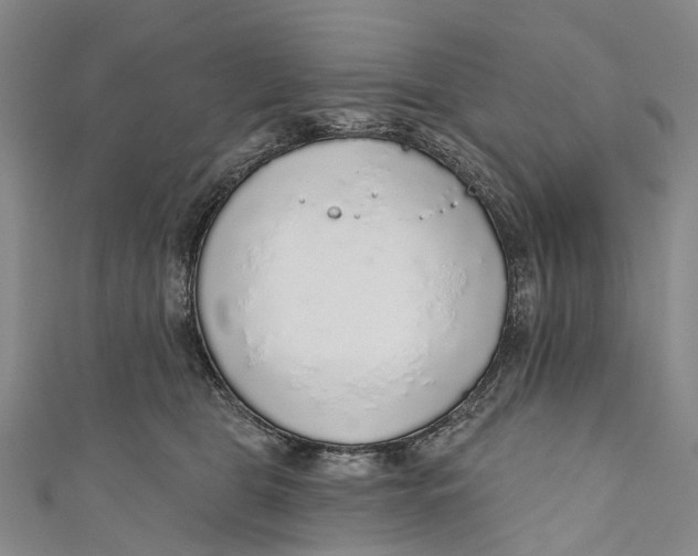 X0000110980469200907101414