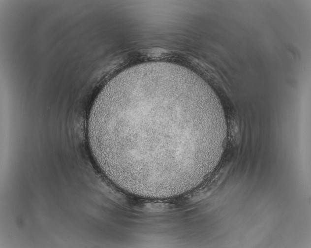 X0000110980470200907101414