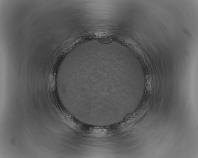 X0000110980471200907101414