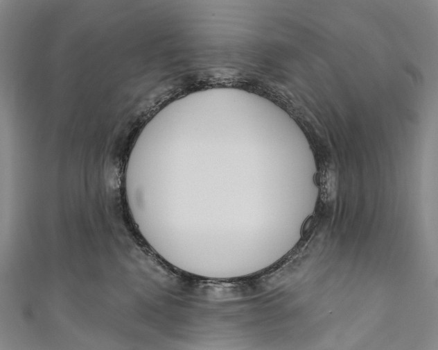 X0000110980472200907101414